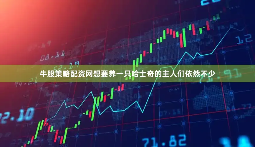 牛股策略配资网想要养一只哈士奇的主人们依然不少