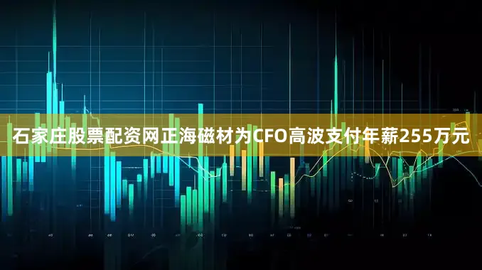 石家庄股票配资网正海磁材为CFO高波支付年薪255万元