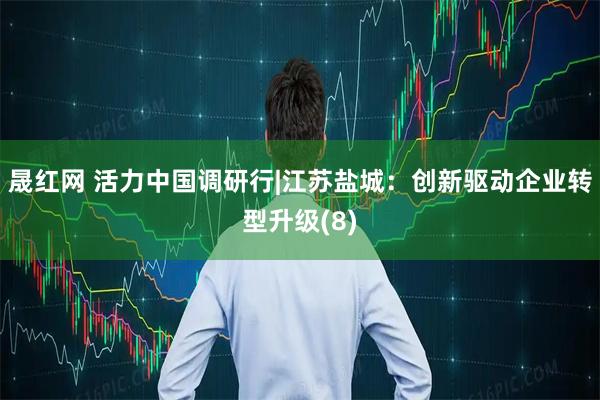 晟红网 活力中国调研行|江苏盐城：创新驱动企业转型升级(8)