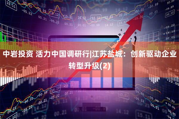 中岩投资 活力中国调研行|江苏盐城：创新驱动企业转型升级(2)